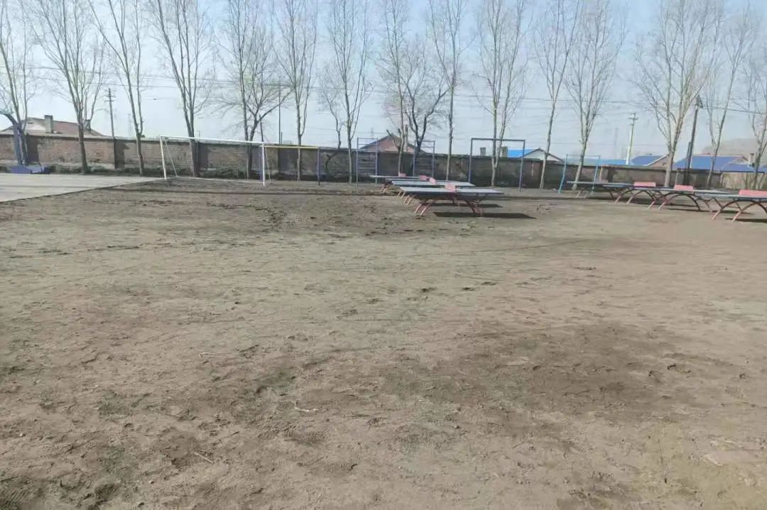 mmexportca16fa291edd5acdcf54b2e391659194_1624850933561.jpeg