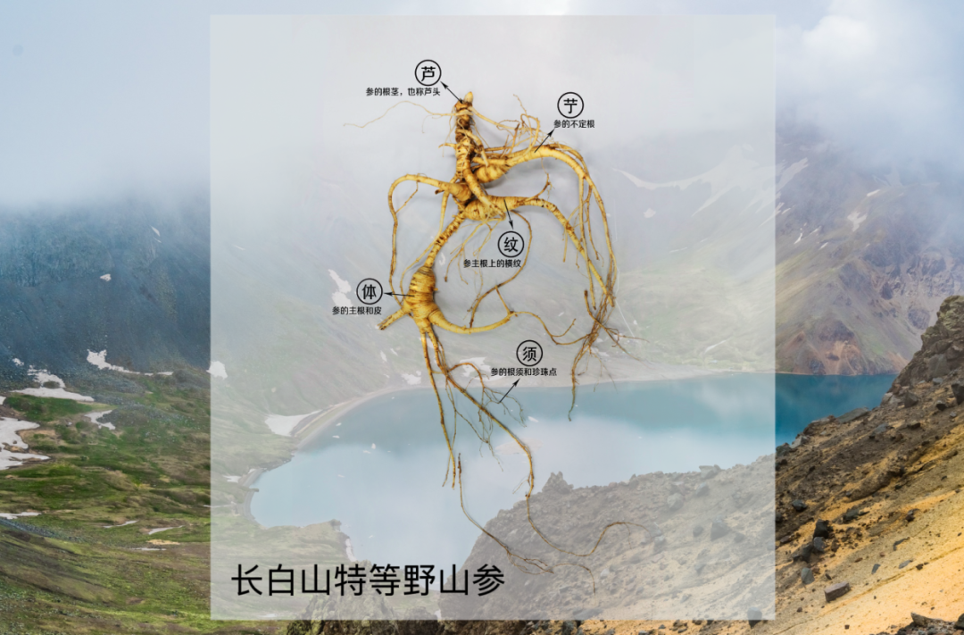 77041994-5f96-4ede-bfb6-ea13e22f8988.png