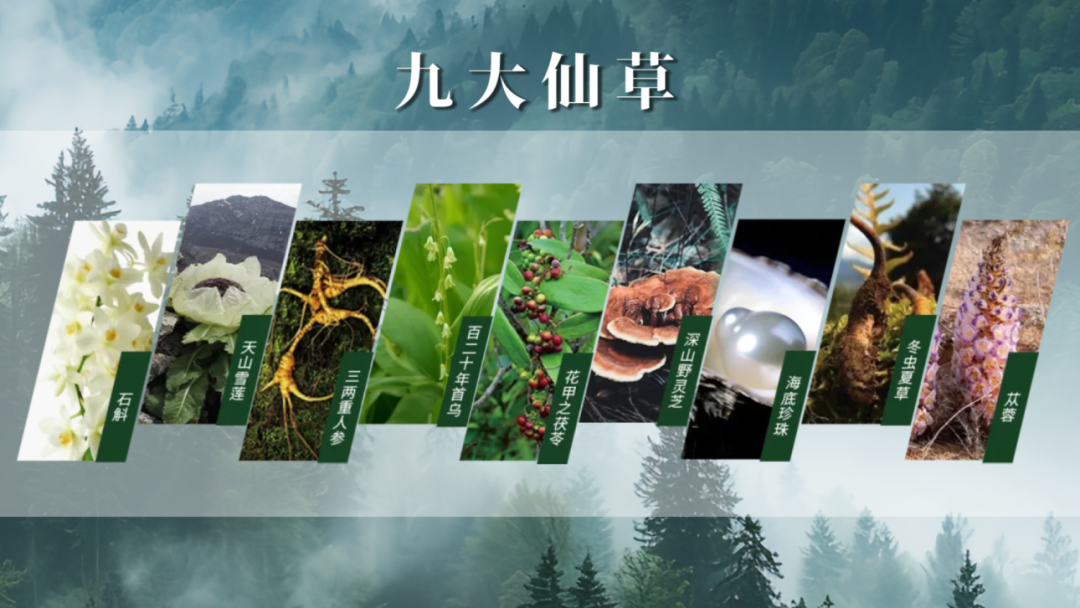 b6ef4d4c-e35c-4bb6-8397-dc23b66f2aeb.png